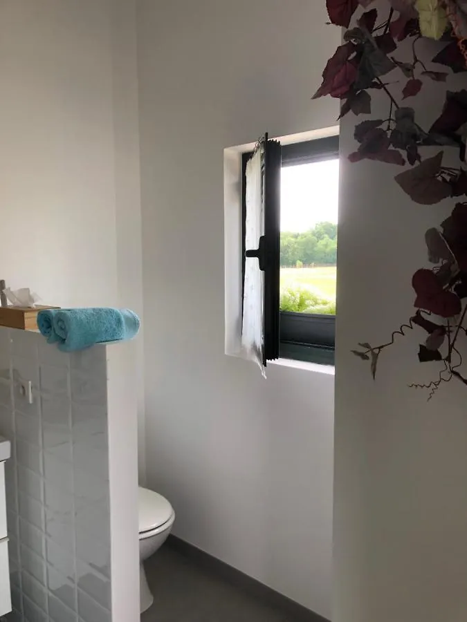 Bouloc  Gite-Grand Studio Contemporain Proche Toulouse Dans Domaine Equestre